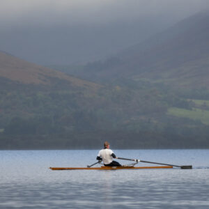 Outing justo morbi wild